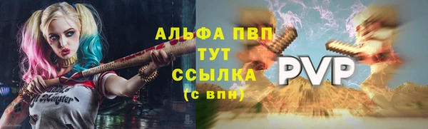 бошки Ельня