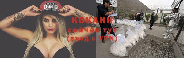 бошки Ельня