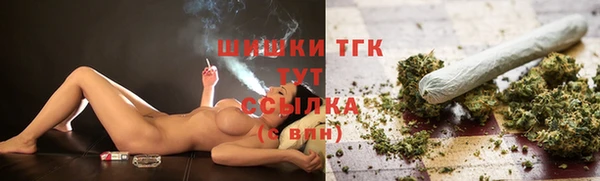 бошки Ельня