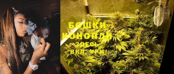 мдпв Елизово