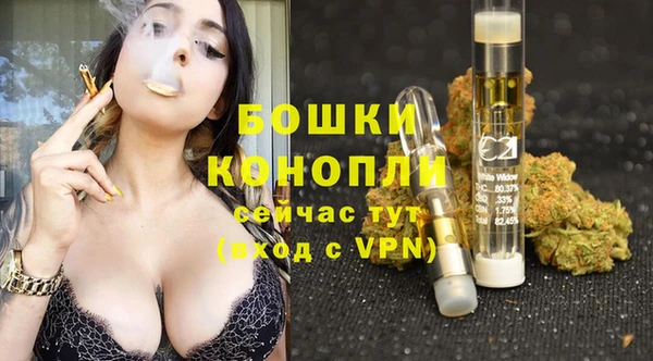 бошки Ельня