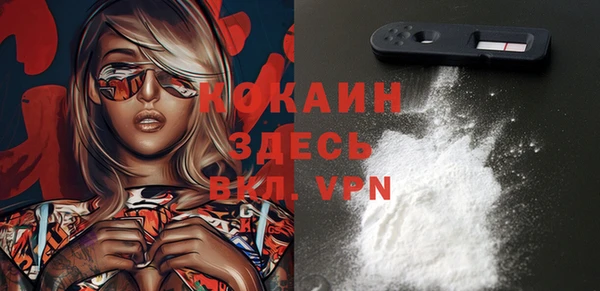 мдпв Елизово