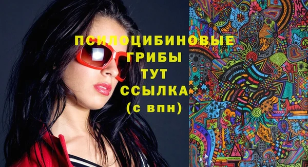 бошки Ельня