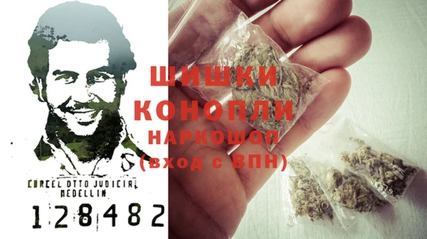 бошки Ельня