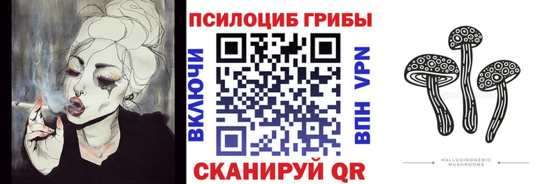 Купить закладки  Арзамас  Псилоцибиновые грибы Psilocybine cubensis 